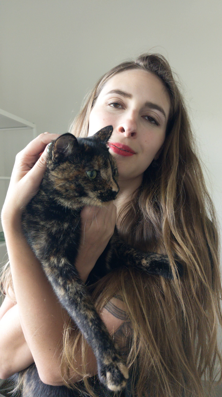 Original cat photo